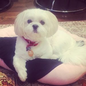 Meet your Posher, Laya